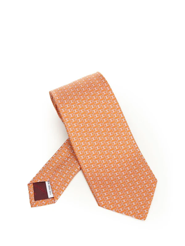 Ferragamo Orange Neck Ties