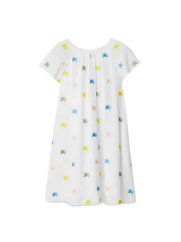Burberry Multicolor Dress