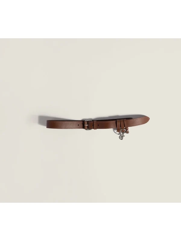 Miu Miu Brown Leather Belts