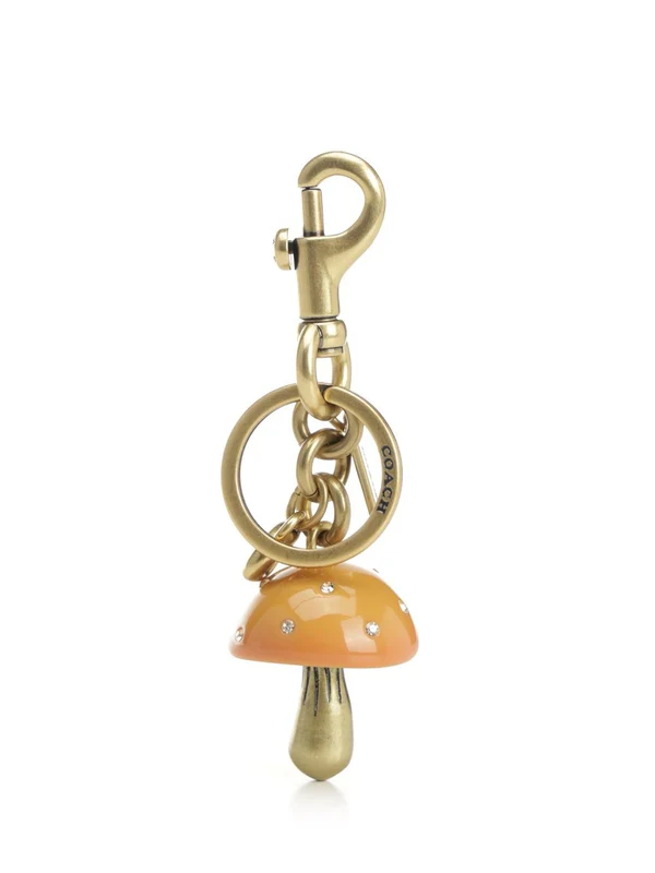 Coach Multicolor Keyrings